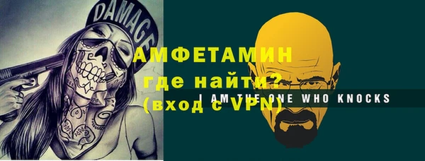 крисы Кулебаки