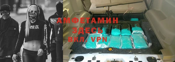 крисы Кулебаки