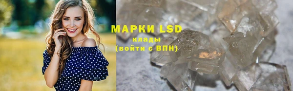 крисы Кулебаки