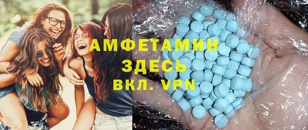 крисы Кулебаки