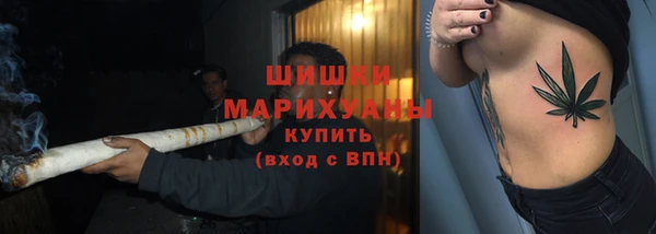 ГАЛЛЮЦИНОГЕННЫЕ ГРИБЫ Кукмор