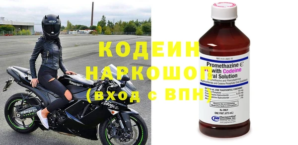 крисы Кулебаки