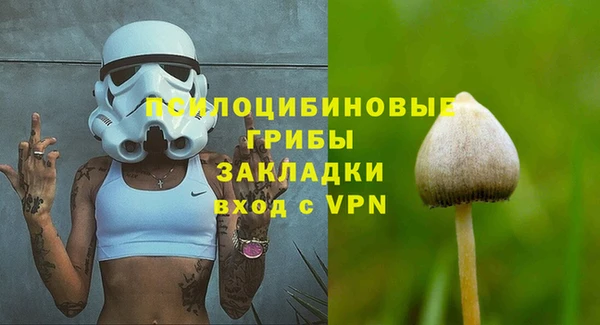 крисы Кулебаки