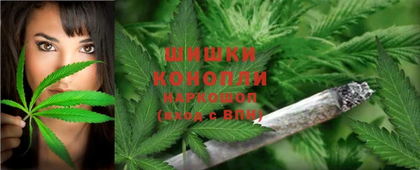 гашик Новоульяновск
