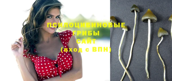 крисы Кулебаки