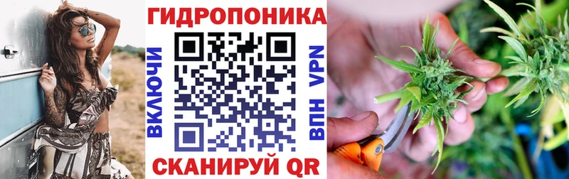Каннабис сатива наркошоп blacksprut ссылка Красково